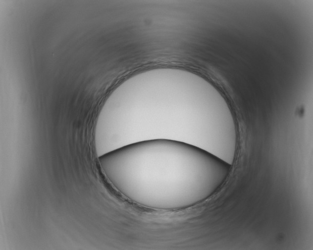 X0000115660025200911120953