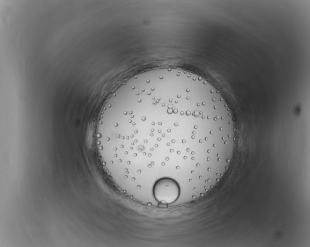X0000115660026200911120953