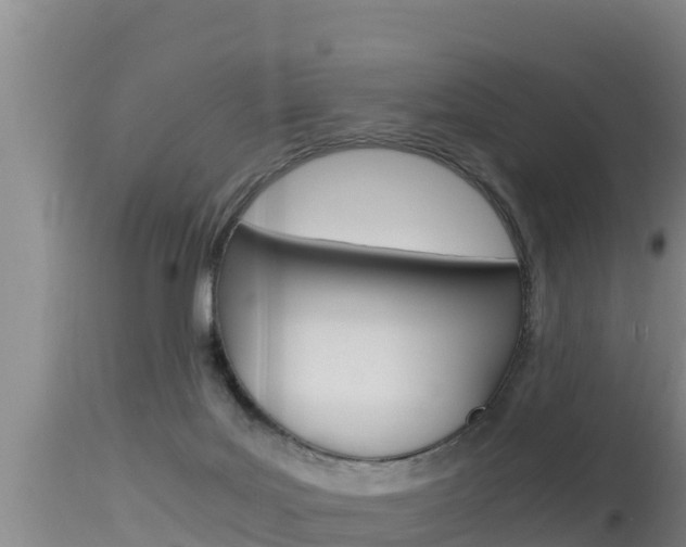 X0000115660027200911120953
