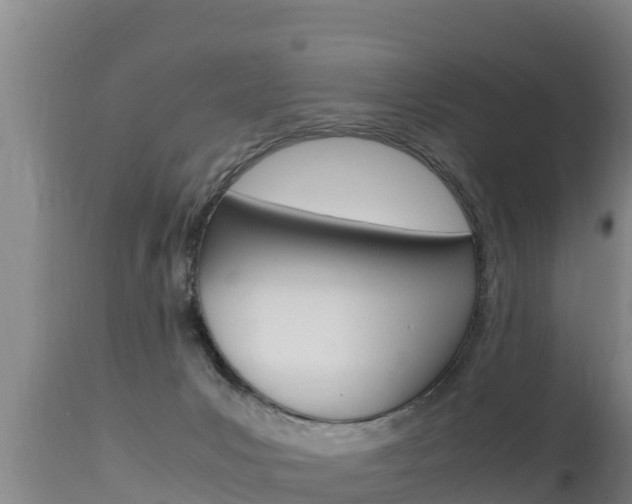 X0000115660031200911120953