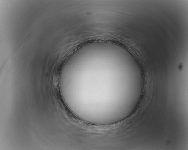 X0000115660033200911120953