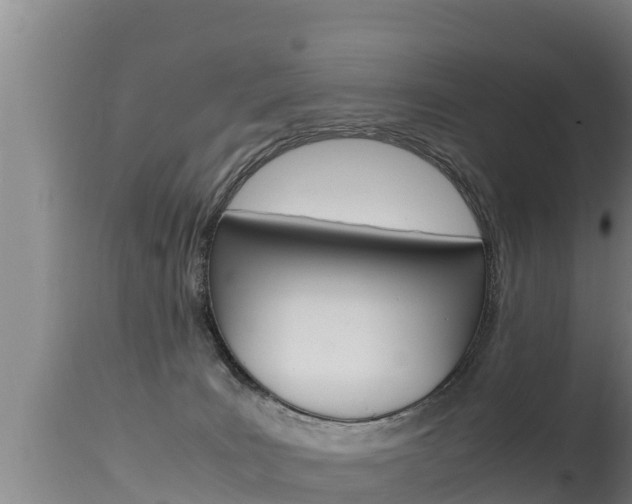 X0000115660035200911120953
