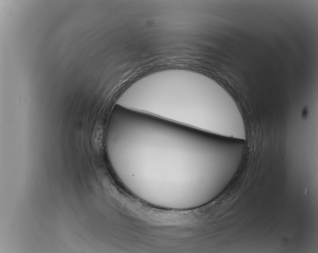 X0000115660036200911120953