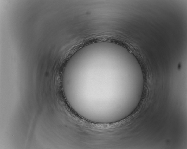 X0000115660037200911120953