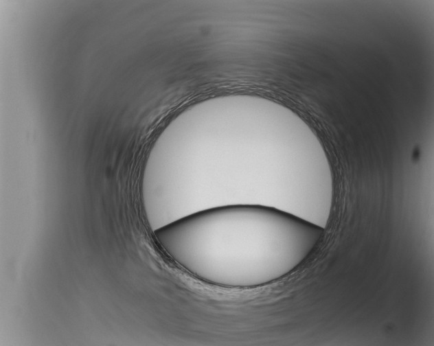 X0000115660039200911120953