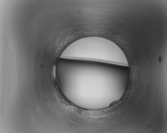 X0000115660041200911120953