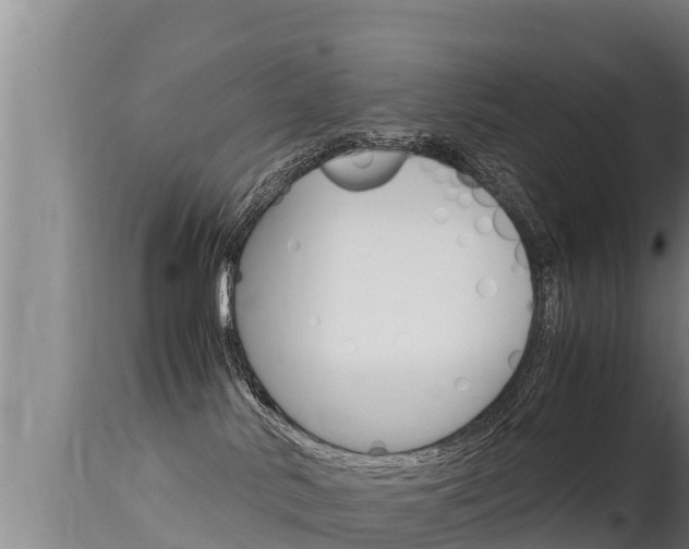 X0000115660042200911120953