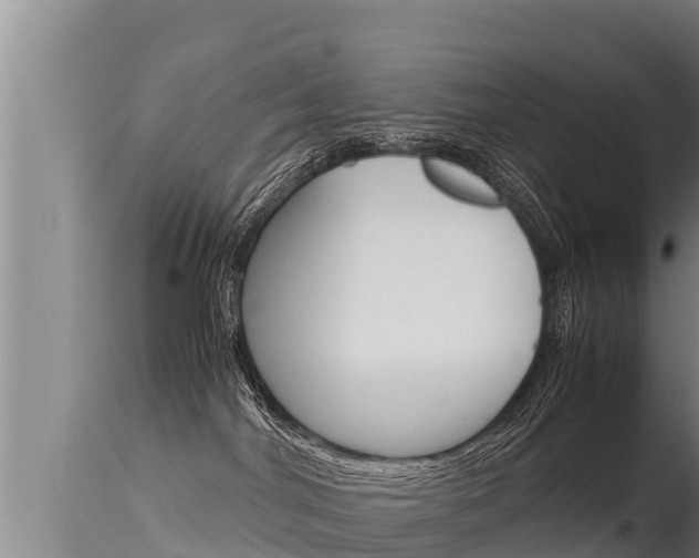 X0000115660044200911120953