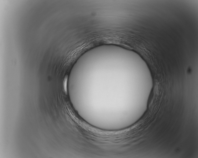 X0000115660047200911120953