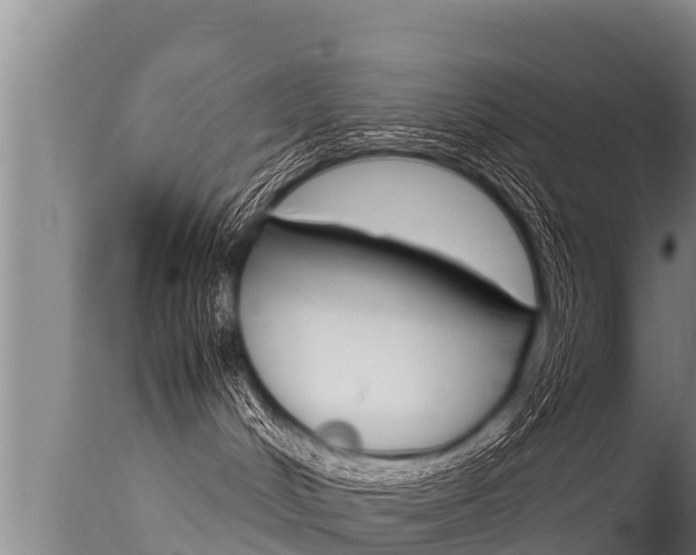 X0000115660048200911120953