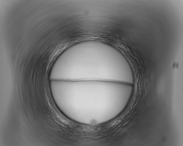 X0000115660049200911120952