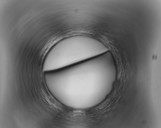 X0000115660050200911120952