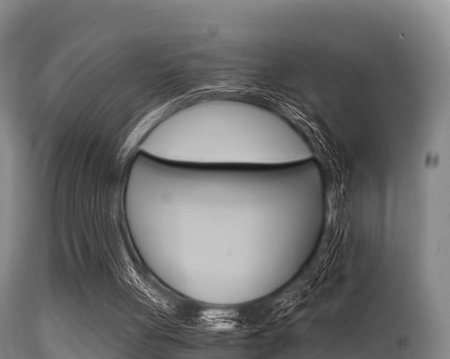 X0000115660051200911120953