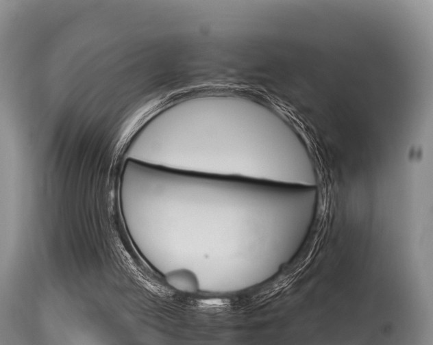 X0000115660053200911120953