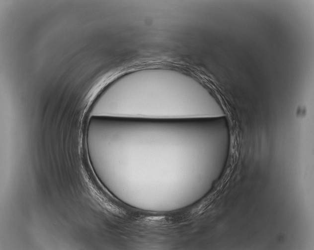 X0000115660054200911120953