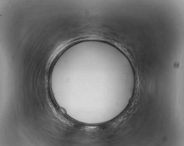 X0000115660055200911120953