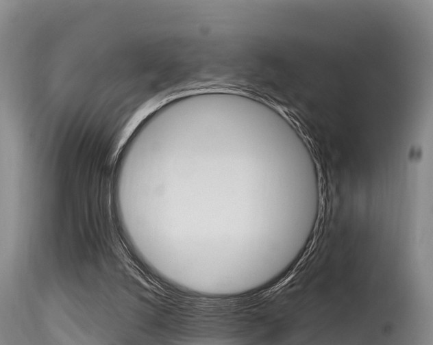 X0000115660056200911120953