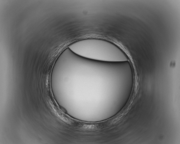 X0000115660057200911120953