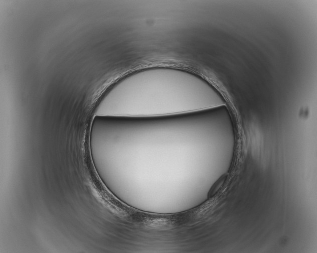 X0000115660058200911120953