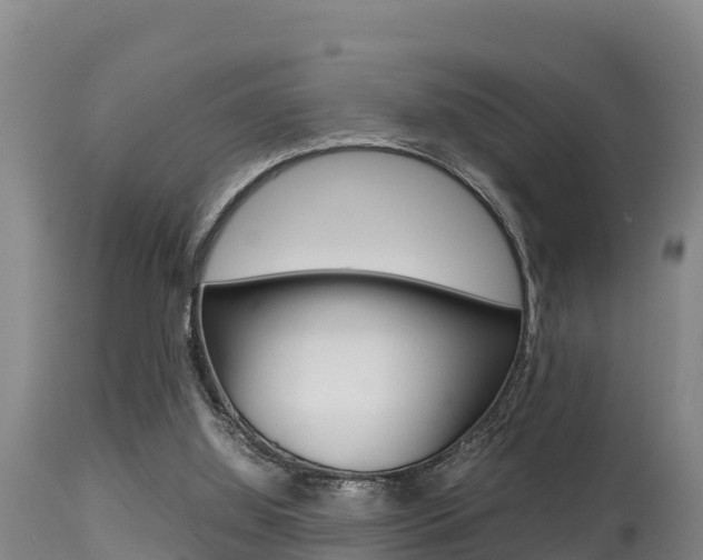 X0000115660060200911120953