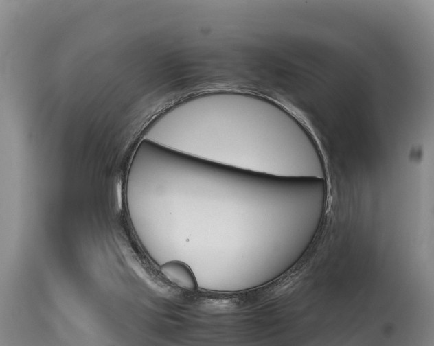 X0000115660061200911120953
