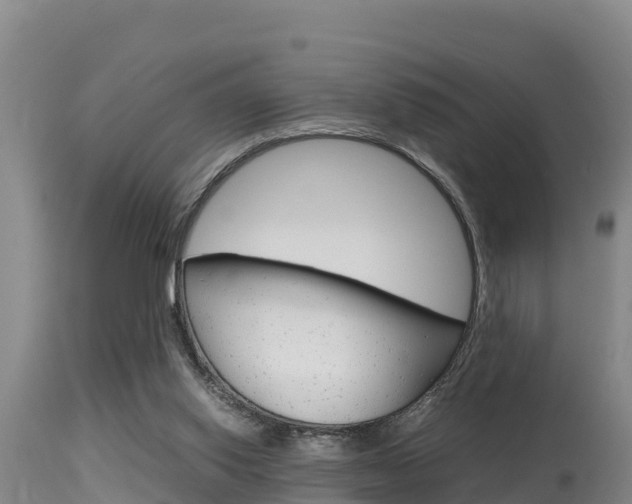 X0000115660062200911120953