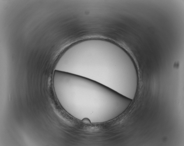 X0000115660063200911120953