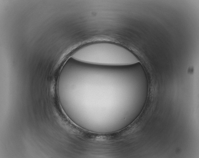 X0000115660064200911120953