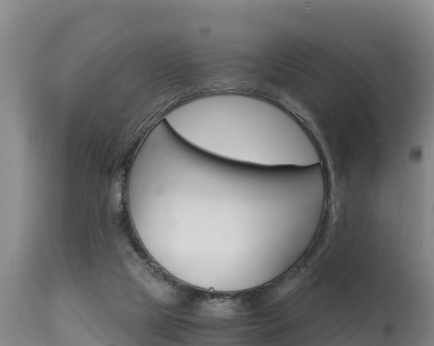 X0000115660065200911120953