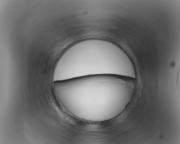 X0000115660066200911120953
