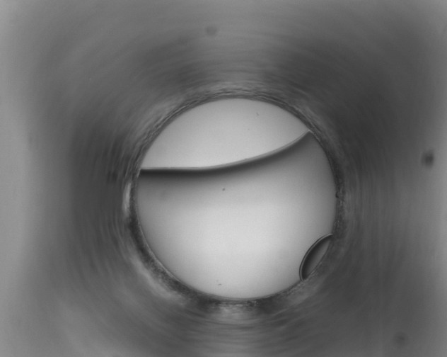 X0000115660070200911120953