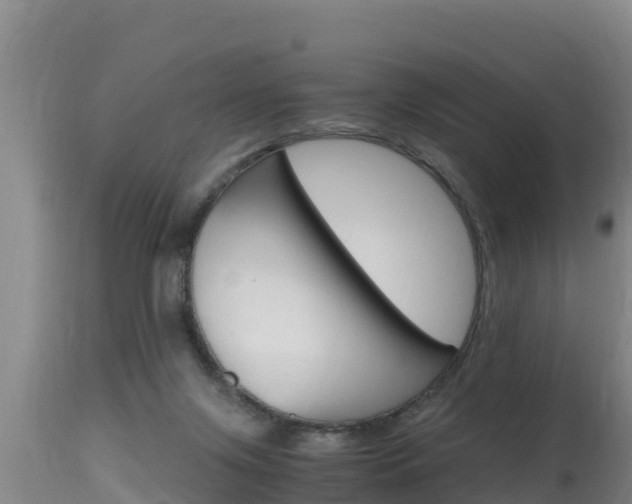 X0000115660071200911120953