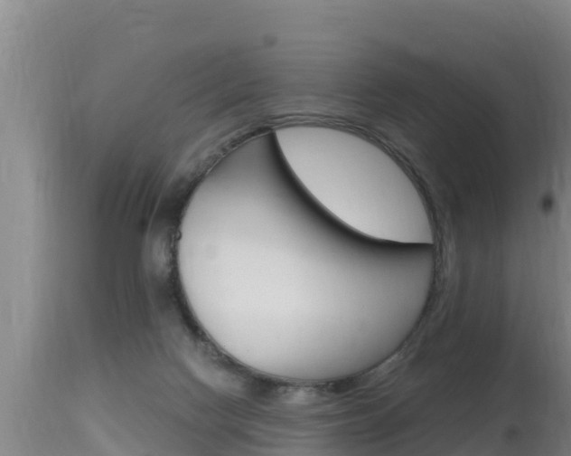 X0000115660074200911120953