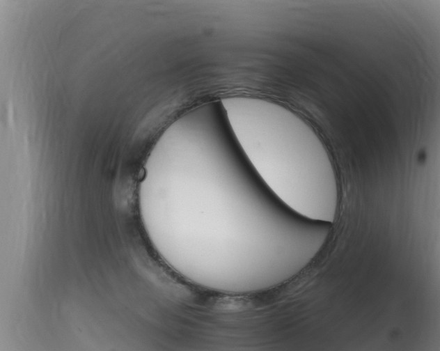 X0000115660077200911120953