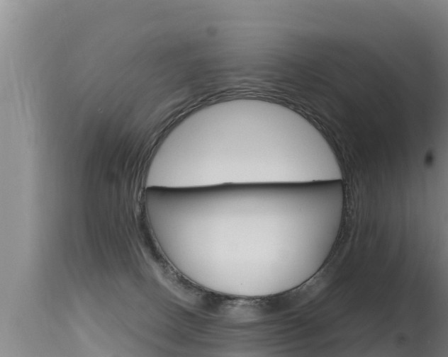 X0000115660082200911120953