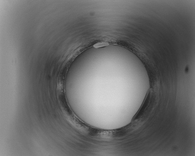 X0000115660084200911120953