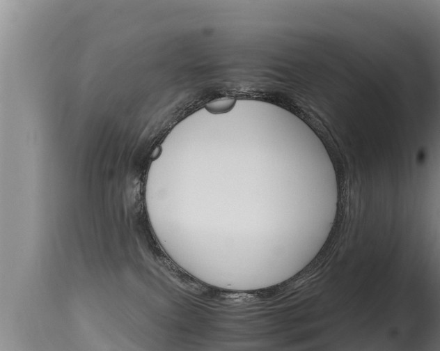 X0000115660087200911120953