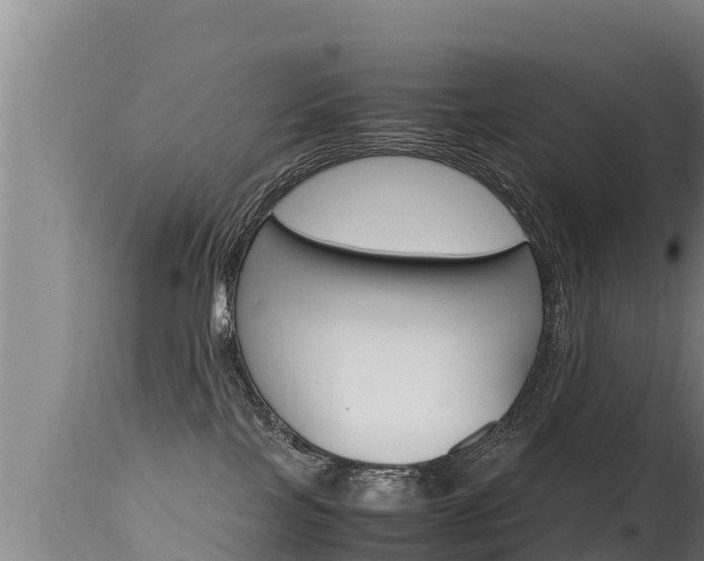 X0000115660089200911120953