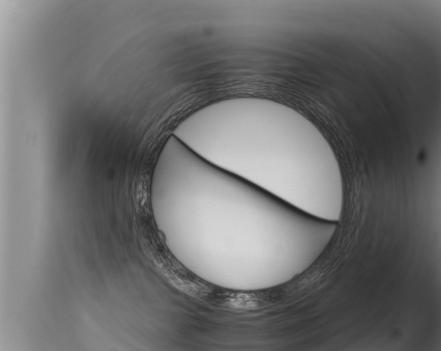X0000115660091200911120953