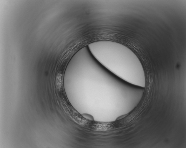 X0000115660093200911120953