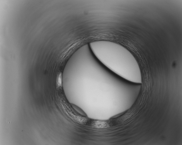 X0000115660095200911120953