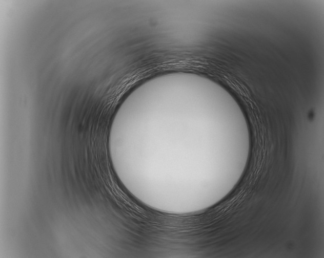 X0000115660096200911120953