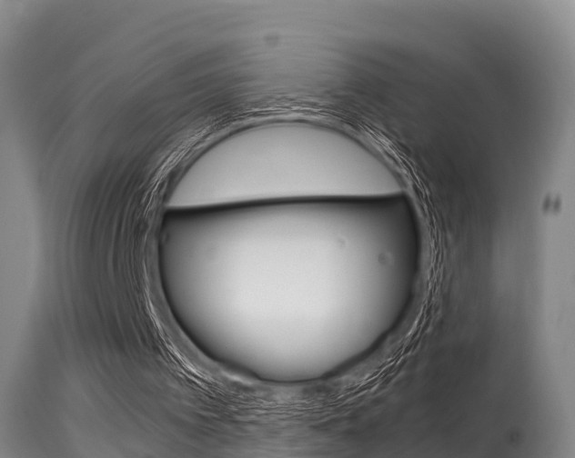 X0000115660097200911120952