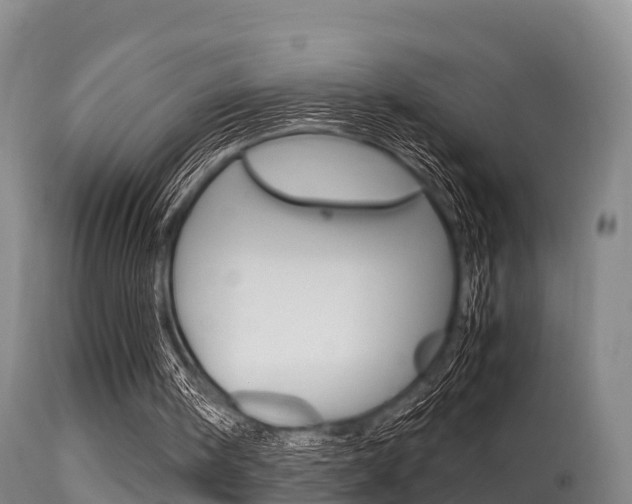 X0000115660098200911120952