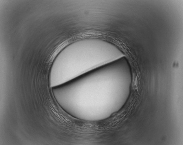 X0000115660099200911120952