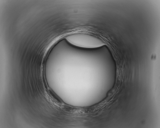 X0000115660100200911120952