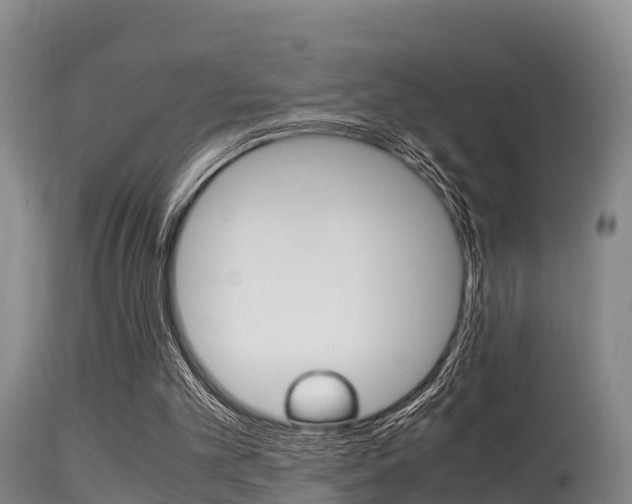 X0000115660101200911120952
