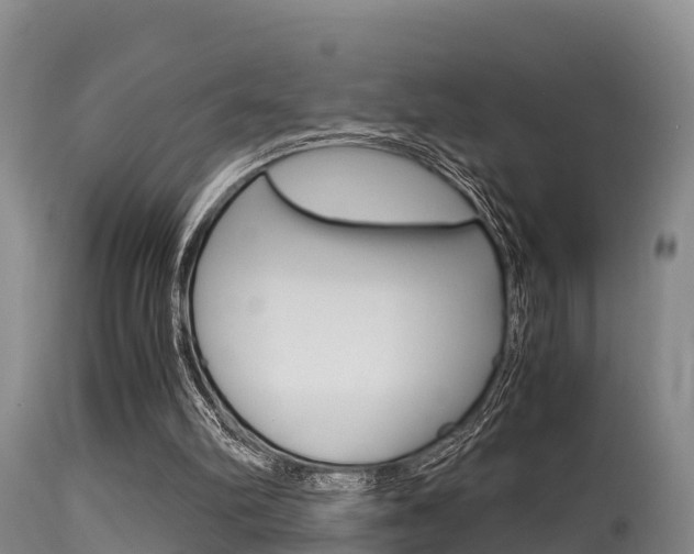 X0000115660102200911120952