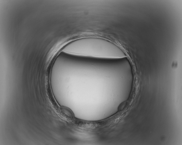 X0000115660103200911120952