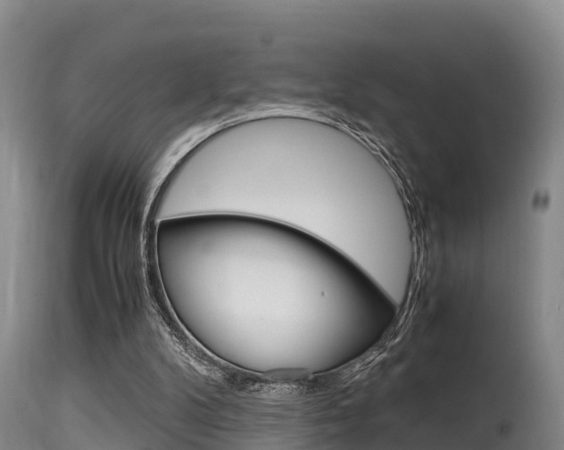 X0000115660104200911120952